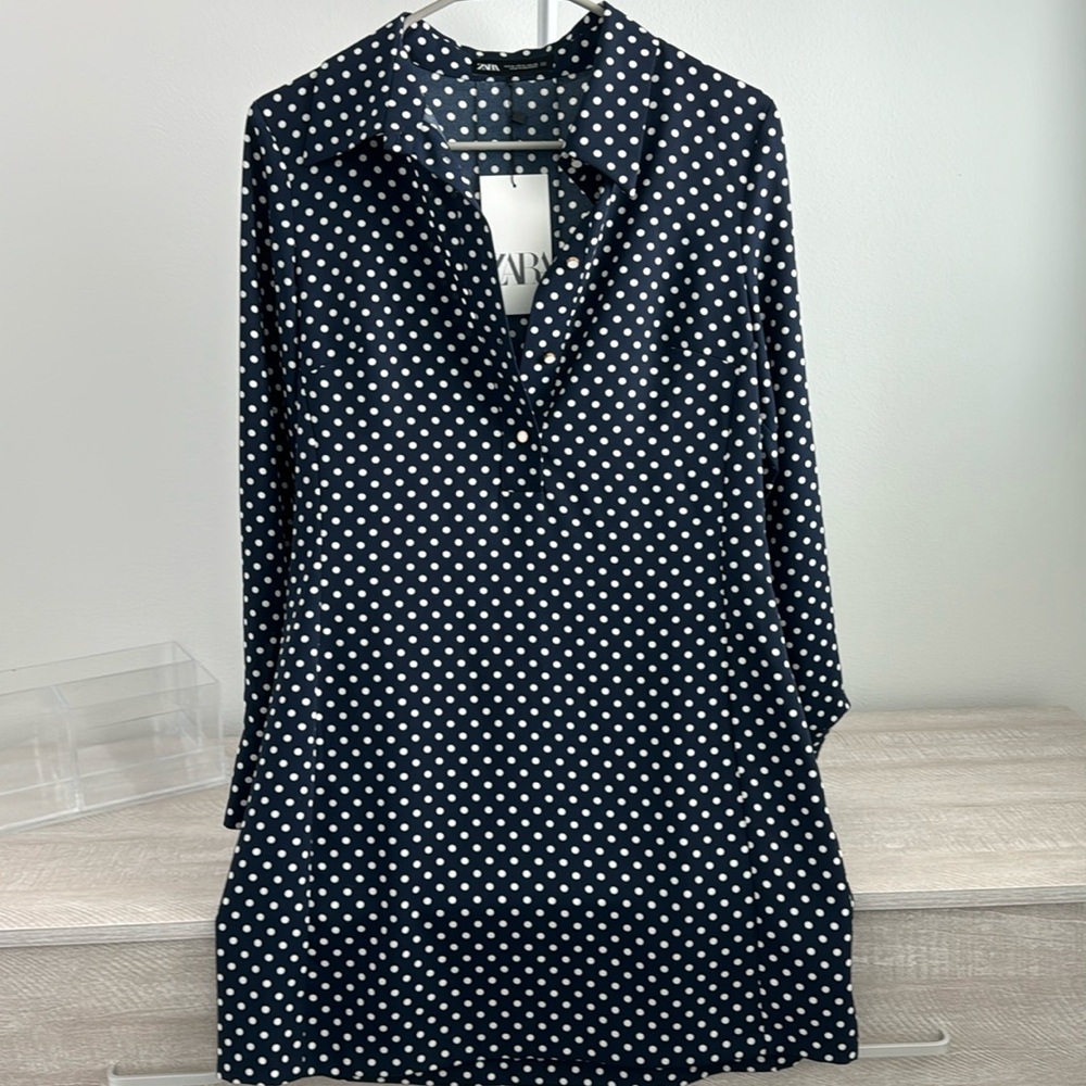 Zara Polka dot dress